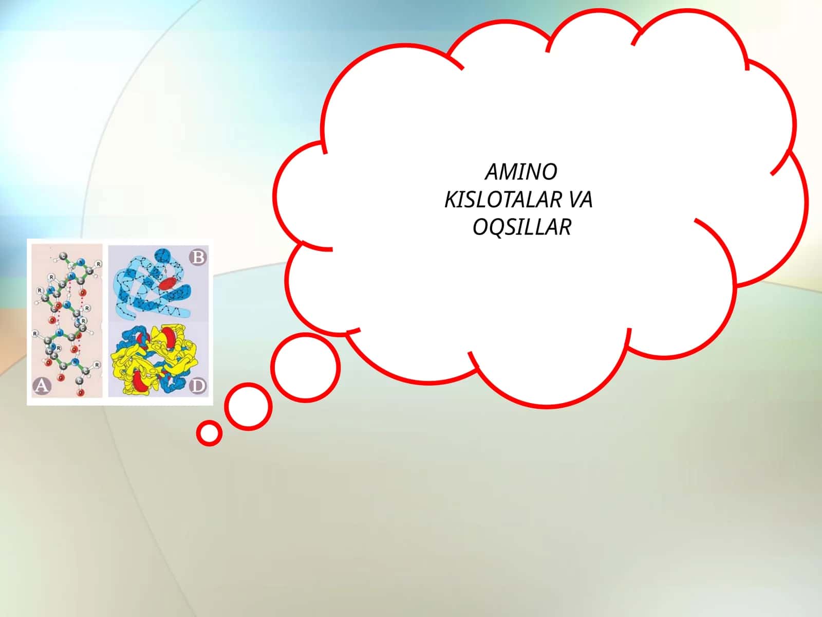 AMINO KISLOTALAR VA OQSILLAR 1