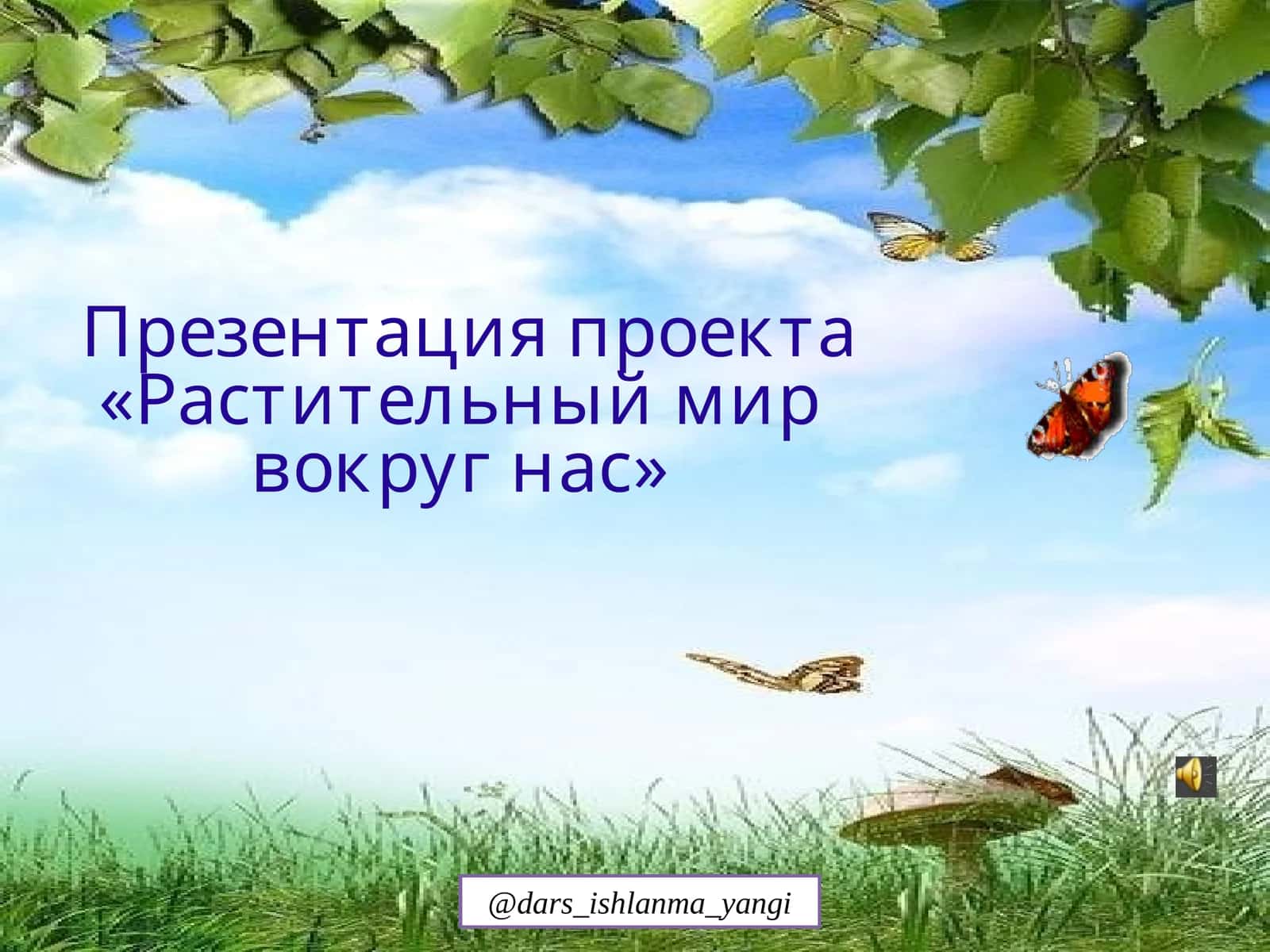 «Растительный мир вокруг нас» 1
