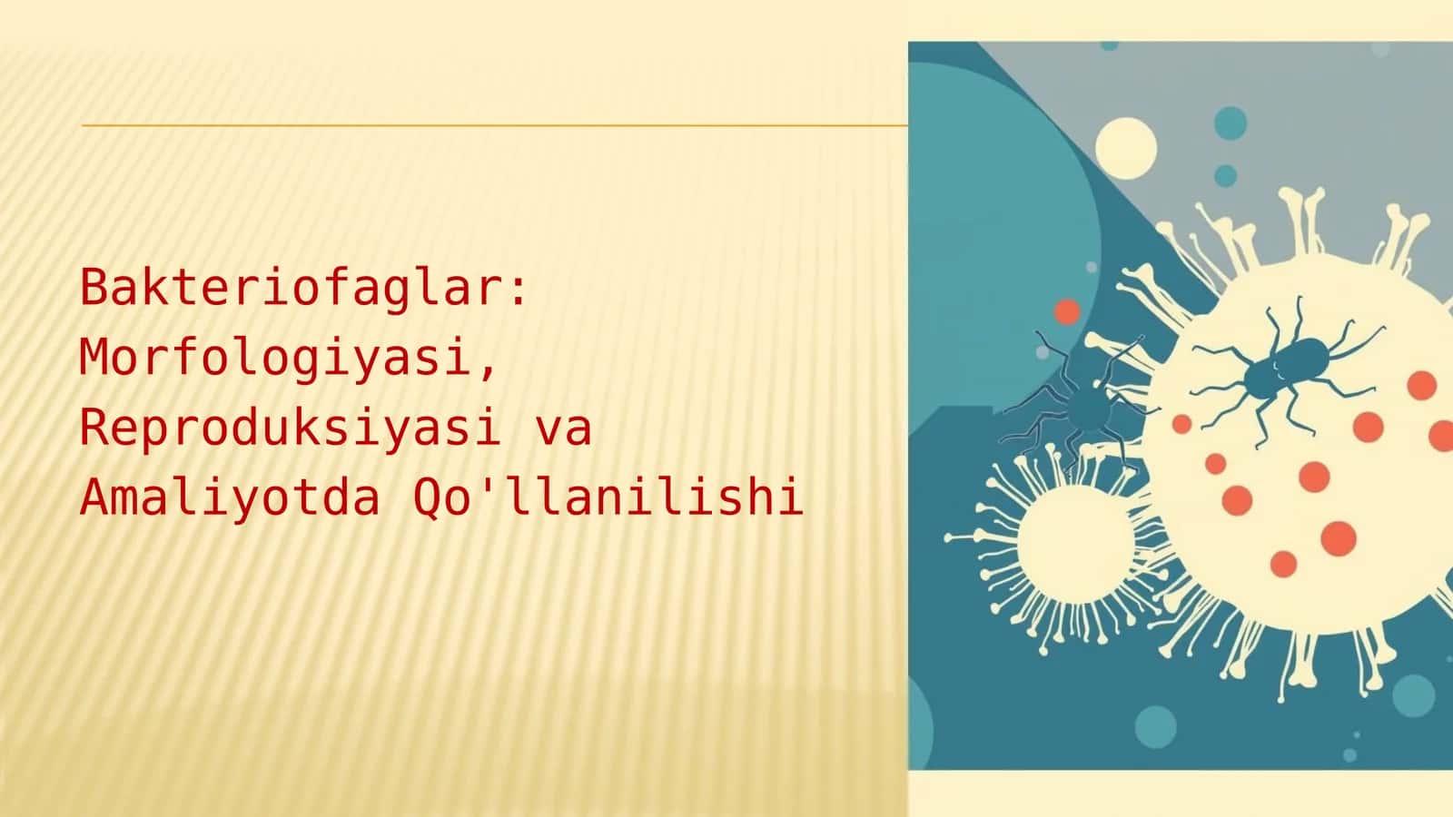 Bakteriofaglar: Morfologiyasi, Reproduksiyasi va Amaliyotda Qo'llanilishi 1