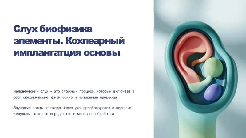 Слух биофизика элементы. Кохлеарный имплантaтция основы 1