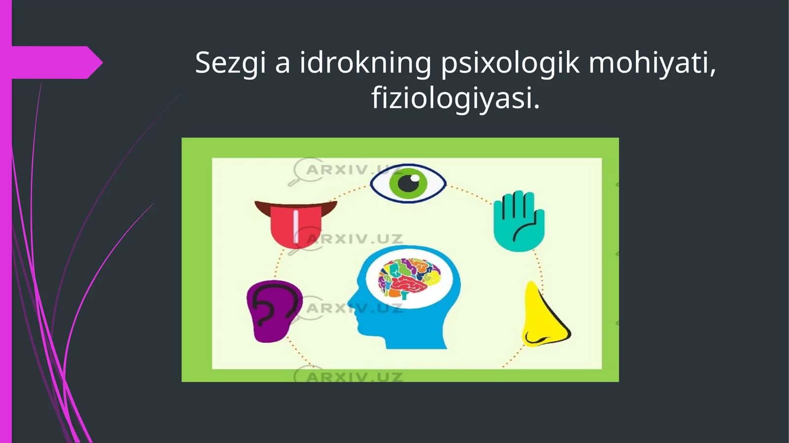 Sezgi a idrokning psixologik mohiyati, fiziologiyasi. 1