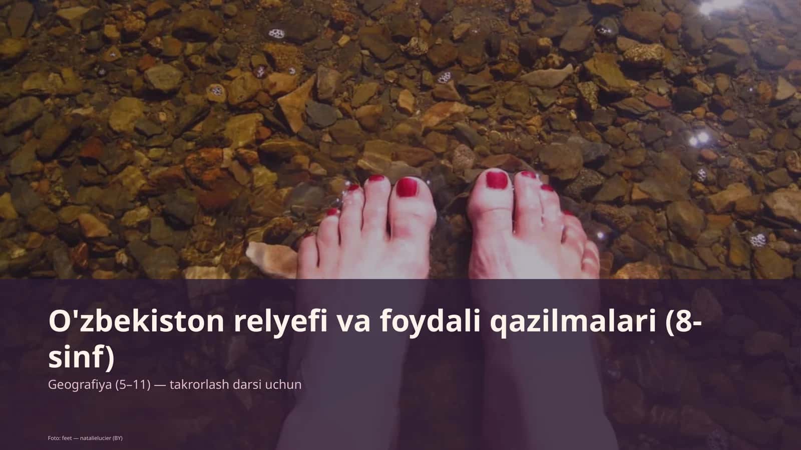 O'zbekiston relyefi va foydali qazilmalari (8-sinf) 1