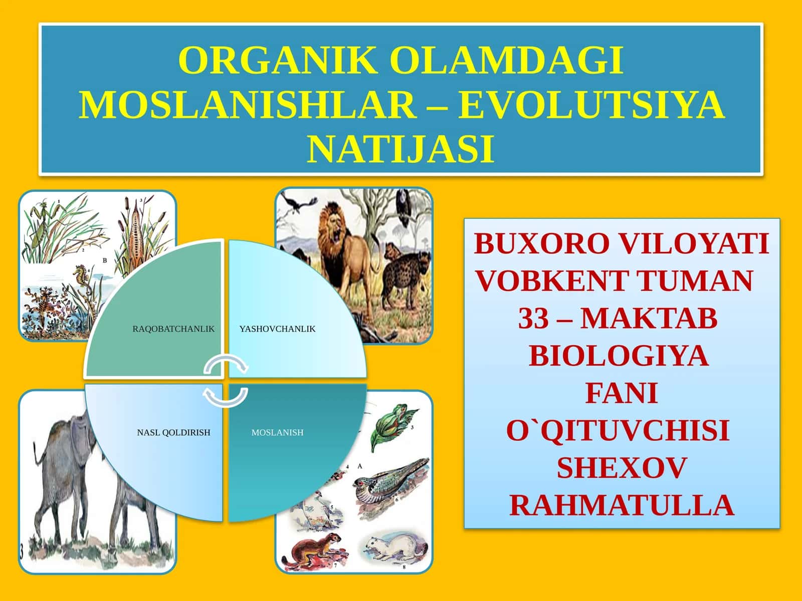 ORGANIK OLAMDA MOSLANISHLAR – EVOLUTSIYA NATIJASI 1