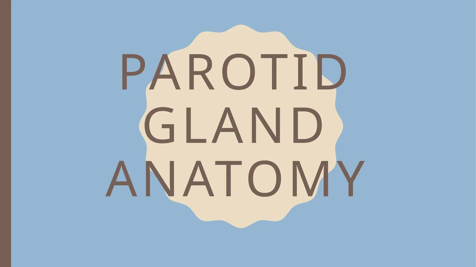 Parotid gland anatomy 1