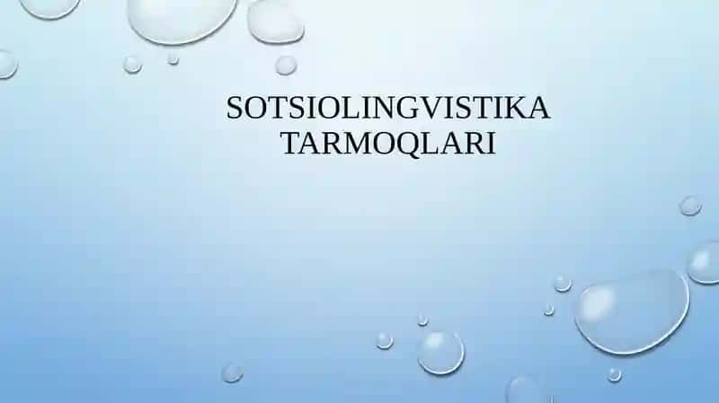 Sotsiolingvistika  tarmoqlari