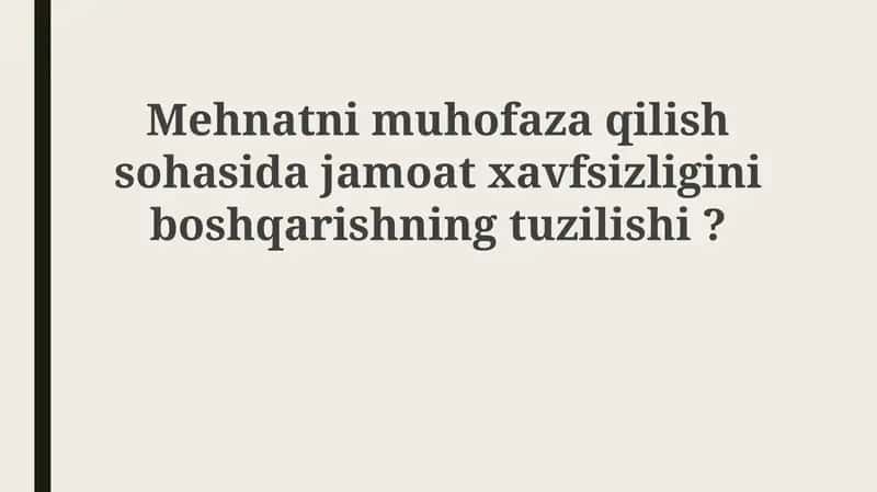 Mehnat muhofazasi sohasida jamoat xavfsizligini boshqarish tizimi 1