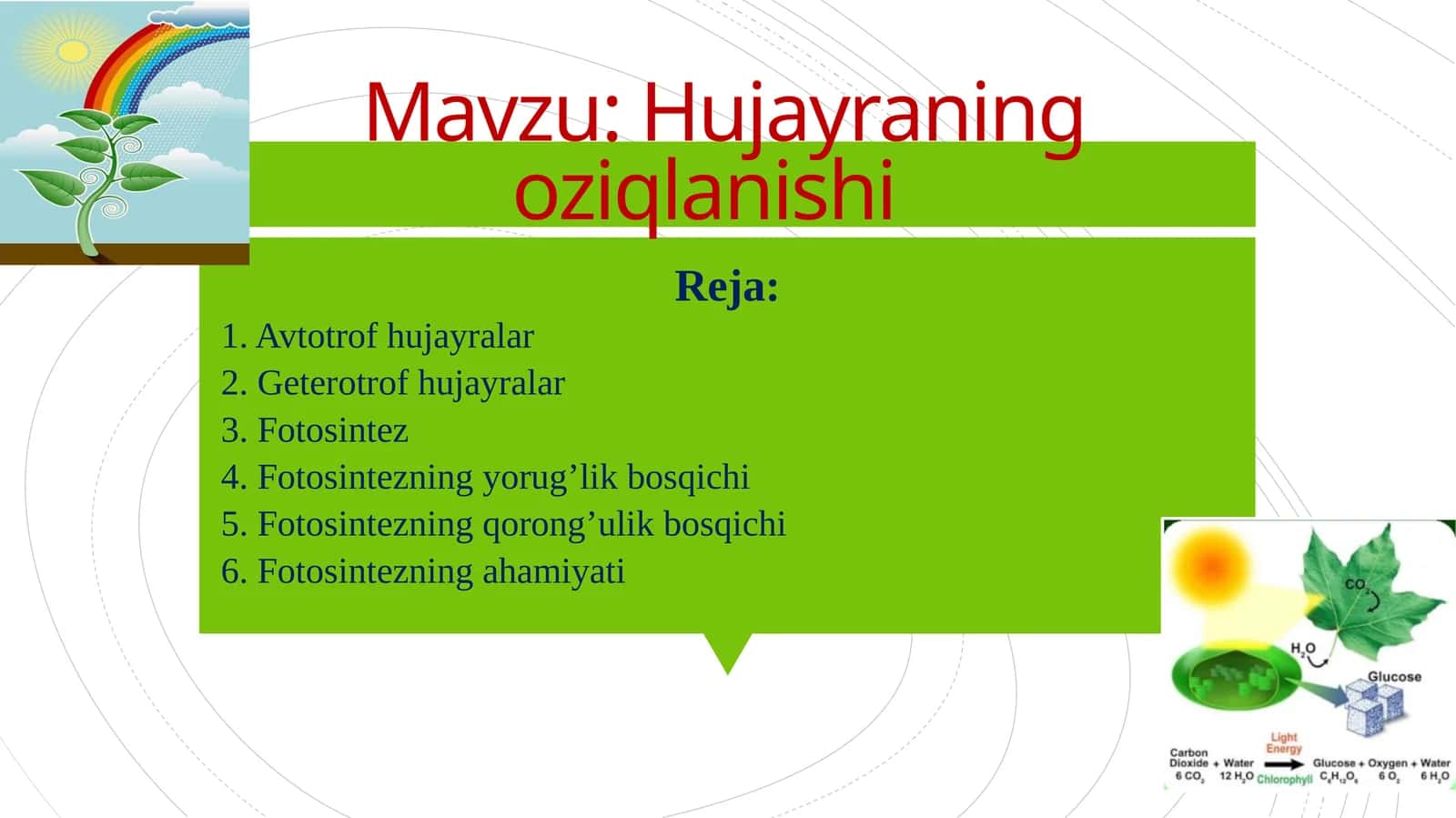Hujayraning oziqlanishi 1