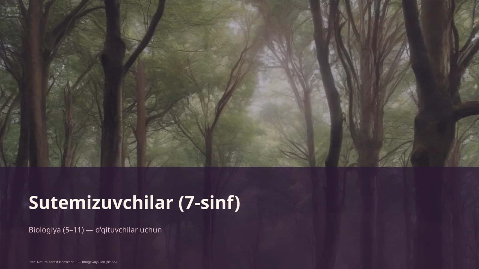 Sutemizuvchilar (7-sinf) 1