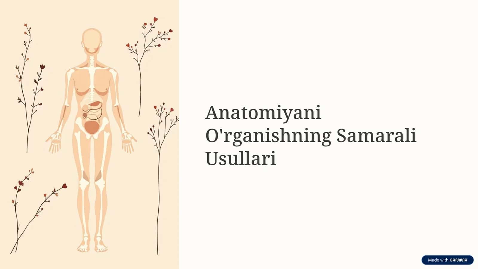 Anatomiyani O'rganishning Samarali Usullari 1