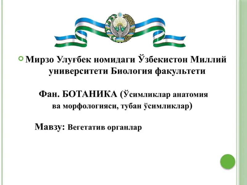 Фан.БОТАНИКА (Ўсимликлар анатомия ва морфологияси, тубан ўсимликлар) 1