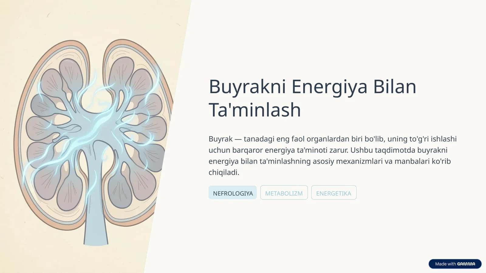 Buyrakni Energiya Bilan Ta'minlash 1