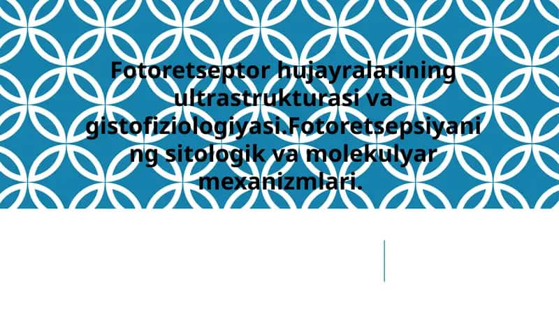 Fotoretseptorlar 1