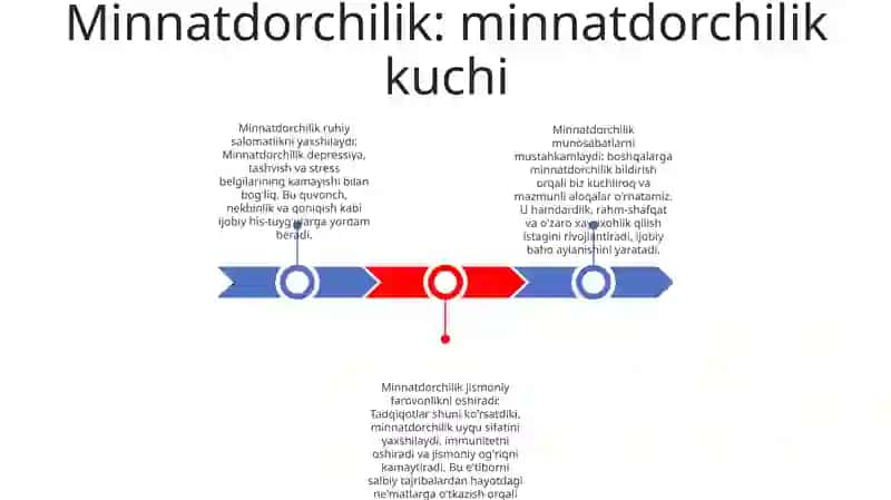 Minnatdorchilik 1
