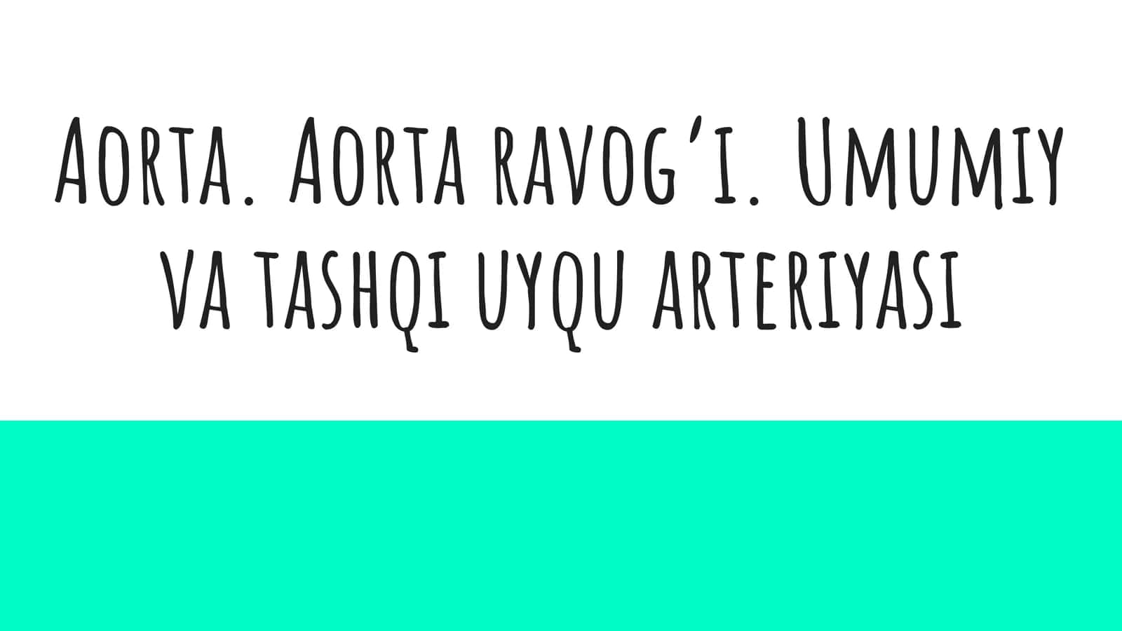 Aorta 1