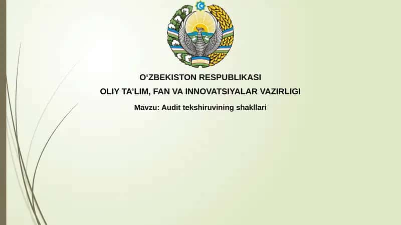 Audittekshiruviningshakllari 1