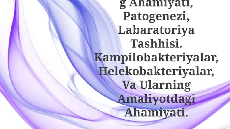 Oshqozon - Ichak Yarasi Va Kolit Kelib Chiqishida Mikroorganizmlarning Ahamiyati 1