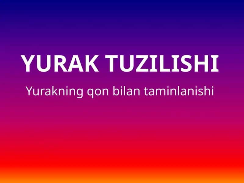 Yuraktuzilishi 1