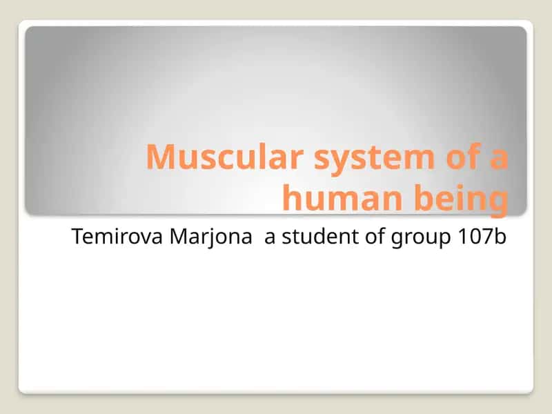 Muscular system 1