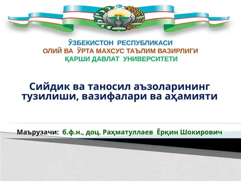 Сийдик ва таносил аъзоларининг тузилиши, вазифалари ва аҳамияти 1
