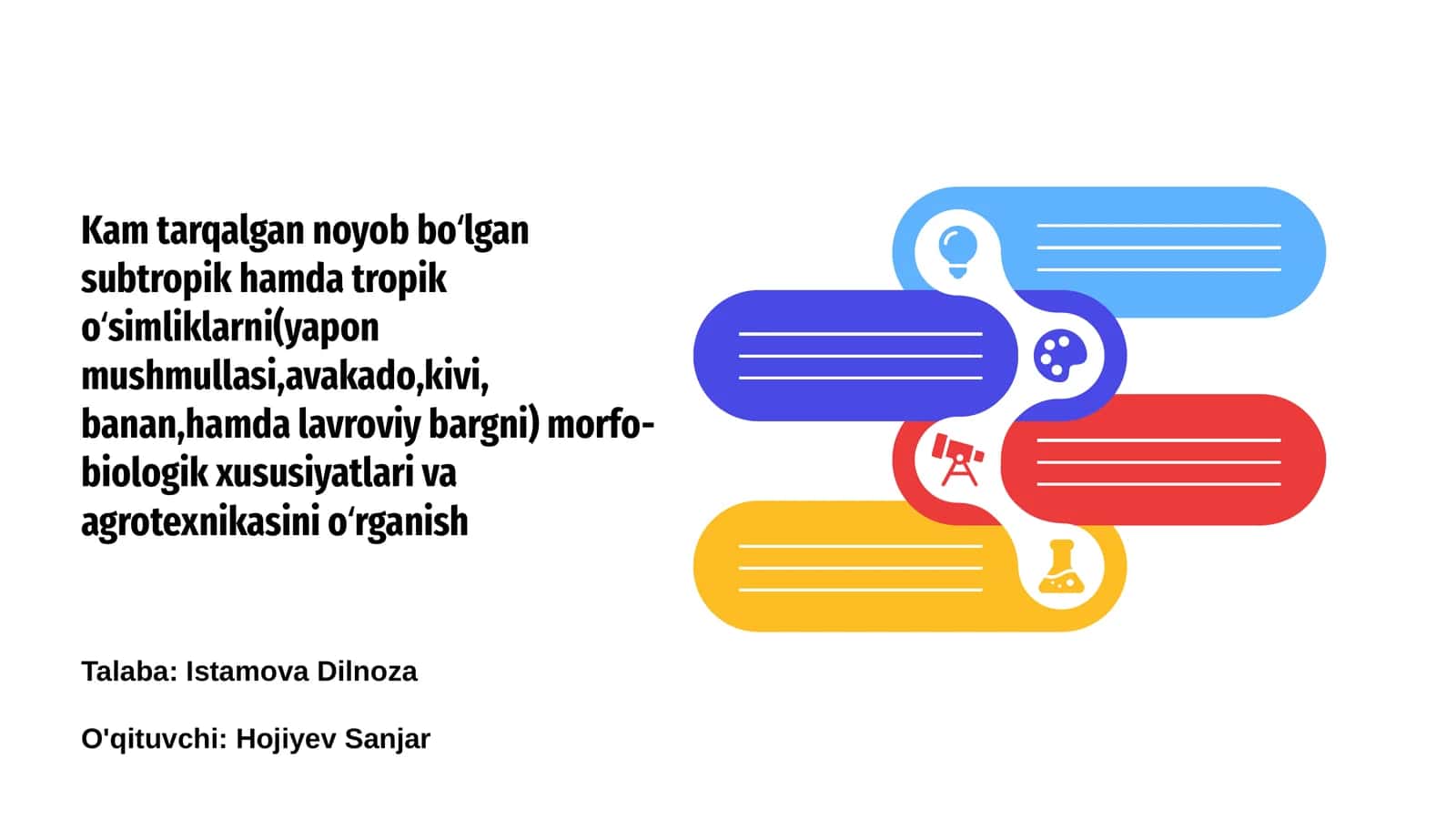 Yapon mushmullasi: Morfo-biologik xususiyatlari 1