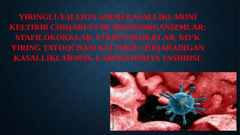 Yiringli-yallig'lanish kasalliklarini keltirib chiqaruvchi mikroorganizmlar 1