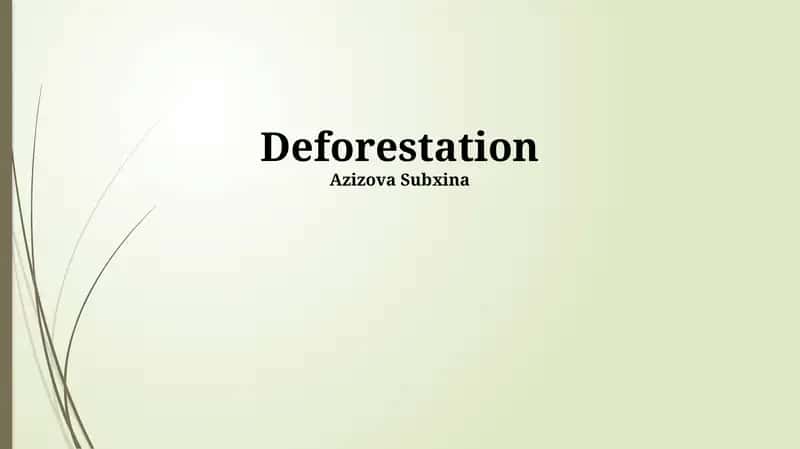 Deforestation 1