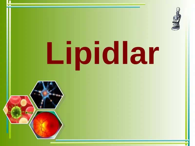 Lipidlar 1