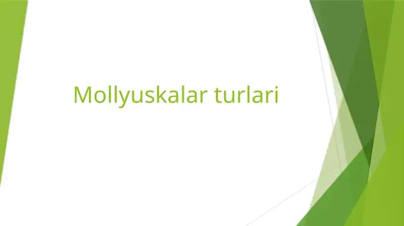 Mollyuskalar turlari 1