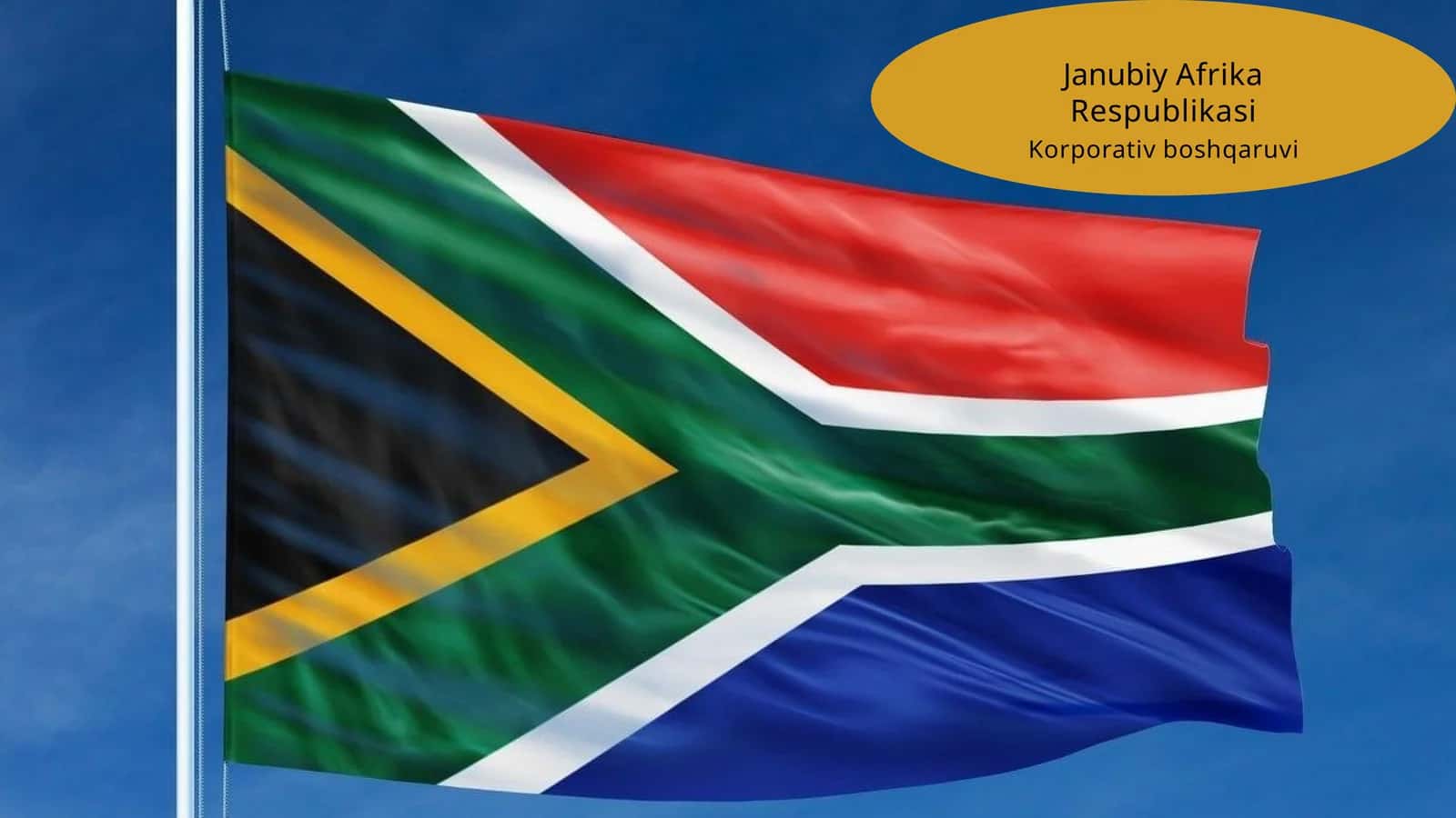 Januviy Afrika korporativ boshqaruvi 1