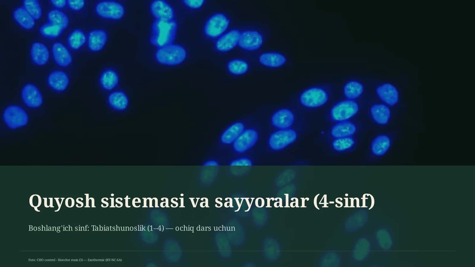 Quyosh sistemasi va sayyoralar (4-sinf) 1