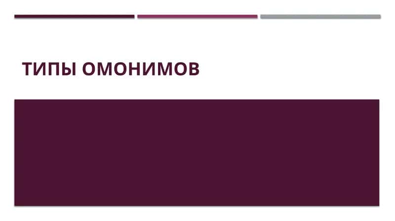 Типы омонимов 1