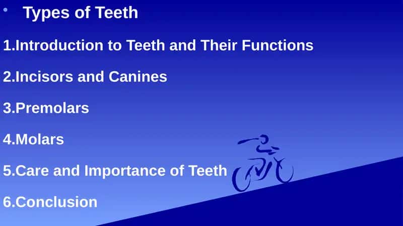 Types of Teeth 1