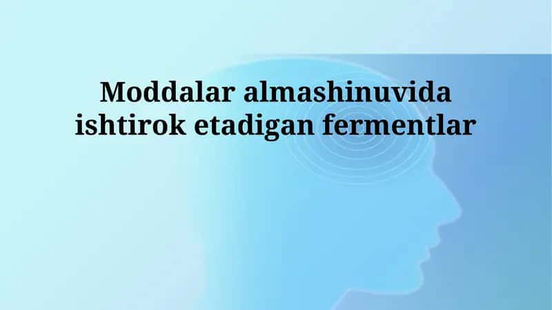 Fermentlar va metabolizm 1