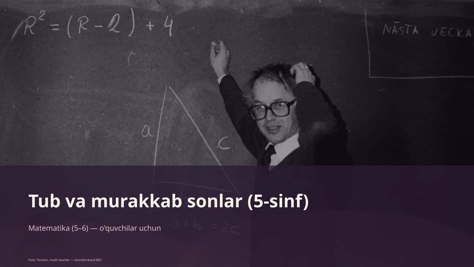 Tub va murakkab sonlar (5-sinf) 1