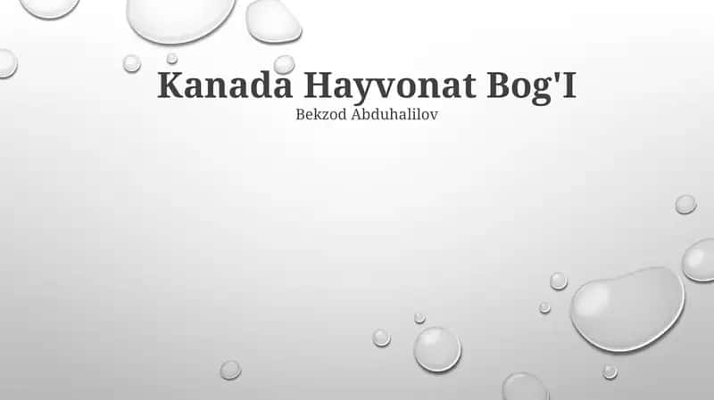 Kanada Hayvonat Bog'I 1