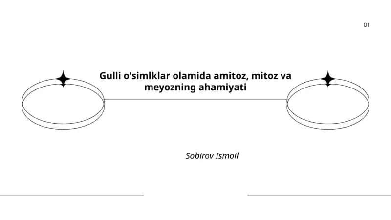 Gulli o'simlklar olamida amitoz, mitoz va meyozning ahamiyati 1