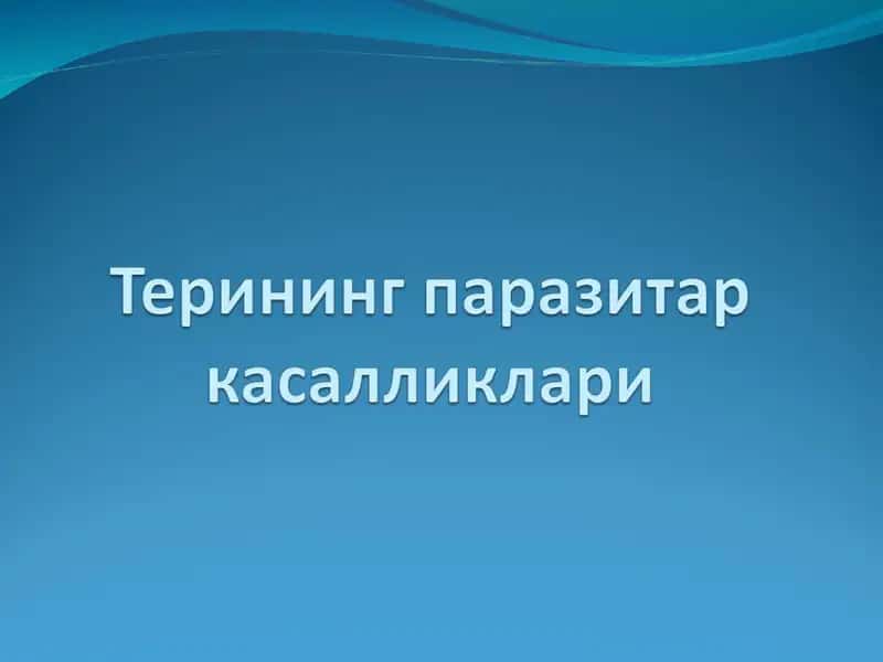 Терининг паразитар касалликлари 1