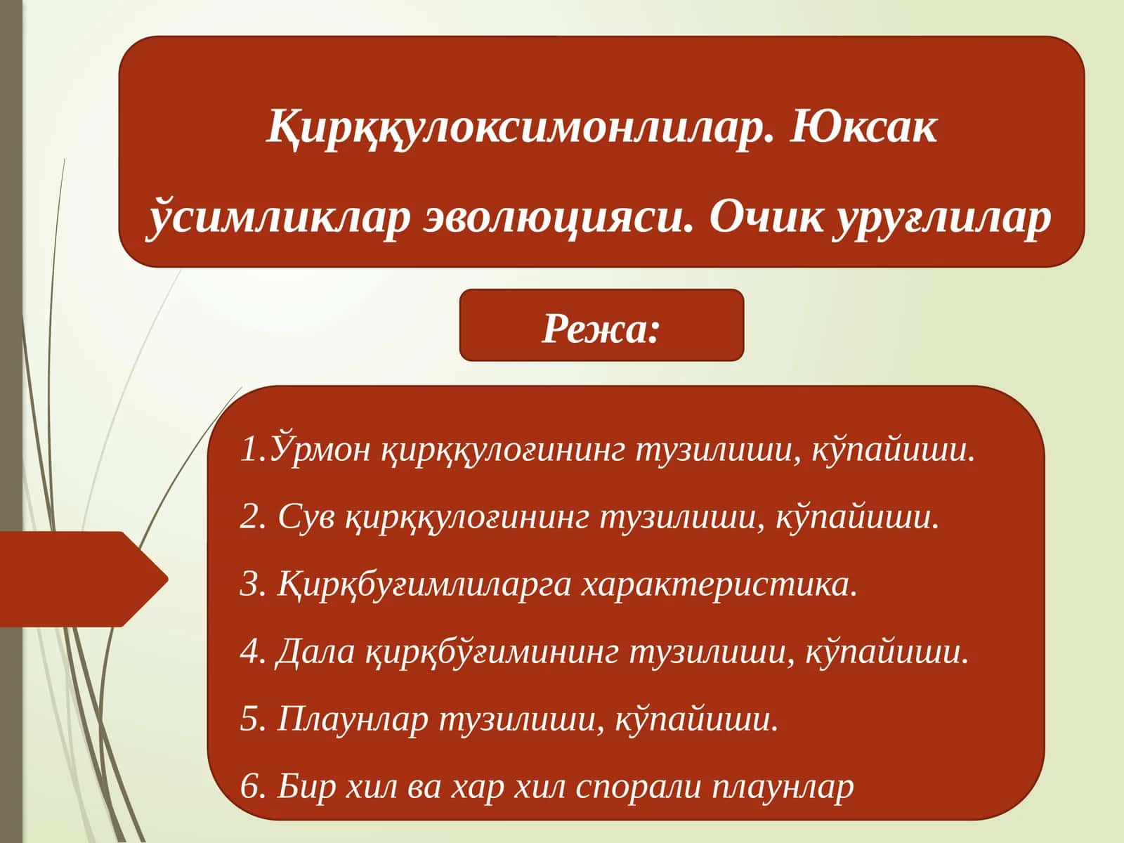 Қирққулоксимонлилар. Юксак ўсимликлар эволюцияси. Очик уруғлилар 1