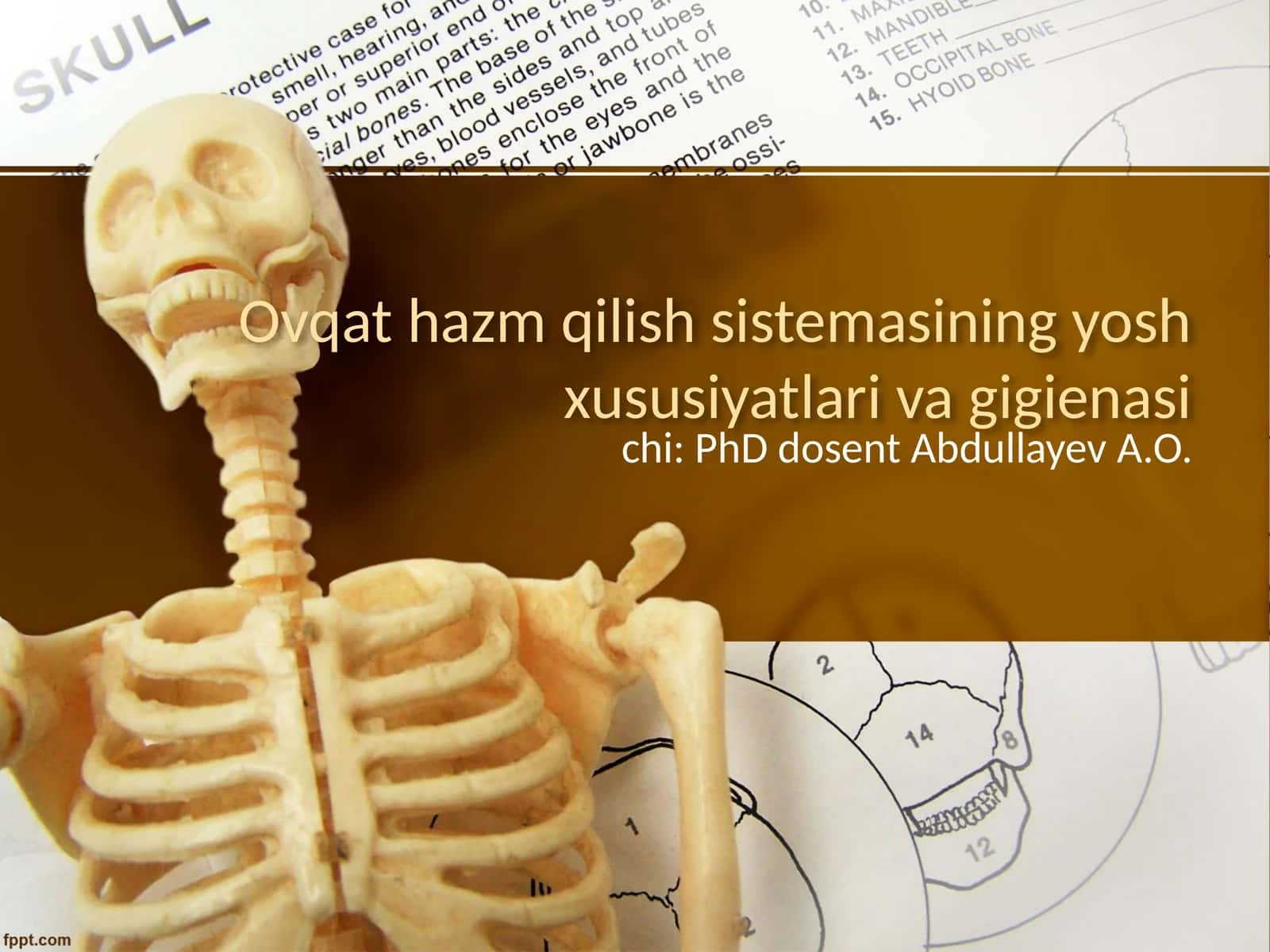 Ovqat hazm qilish sistemasining yosh xususiyatlari va gigienasi 1