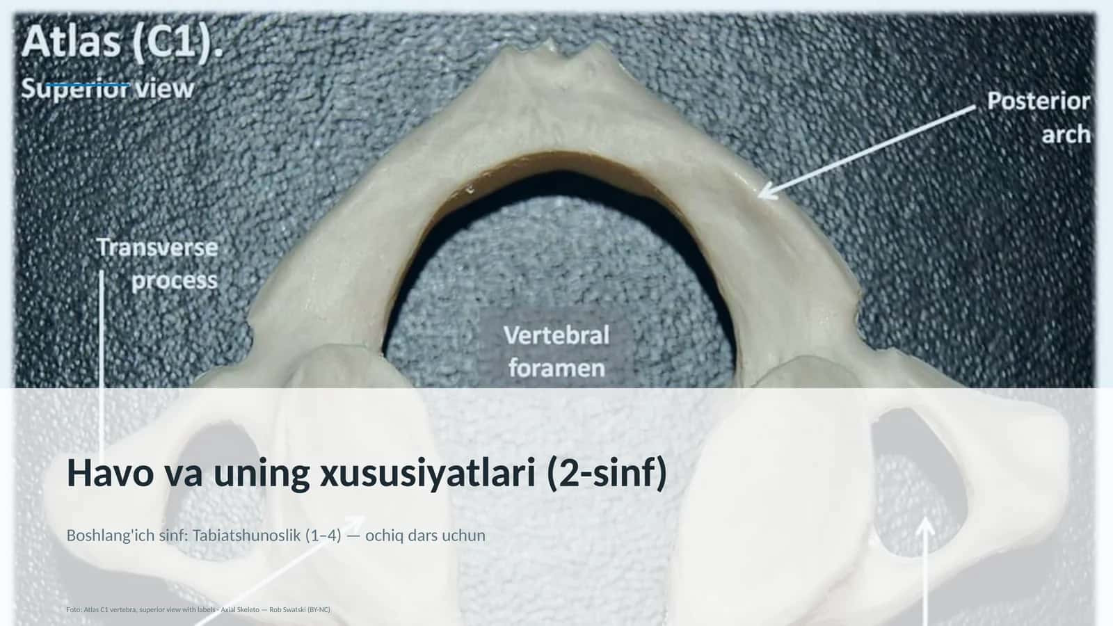 Havo va uning xususiyatlari (2-sinf) 1