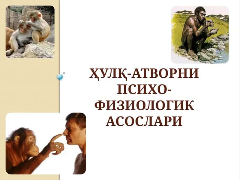 Ҳулқ-атворни психо-физиологик асослари 1