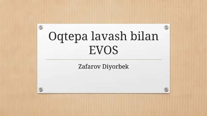 Oqtepa lavash bilan EVOS 1