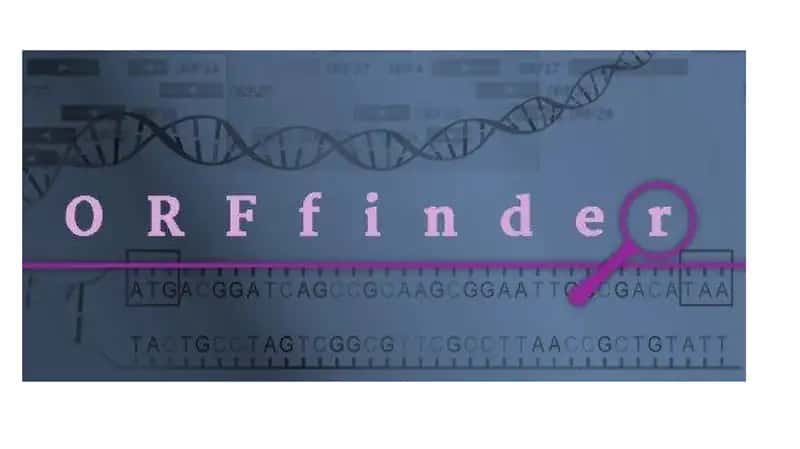 ORF finder 1