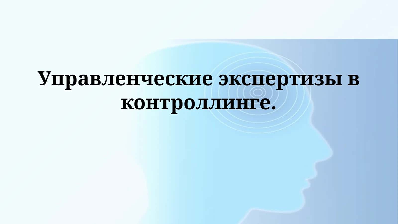 Управленческие экспертизы в контроллинге 1