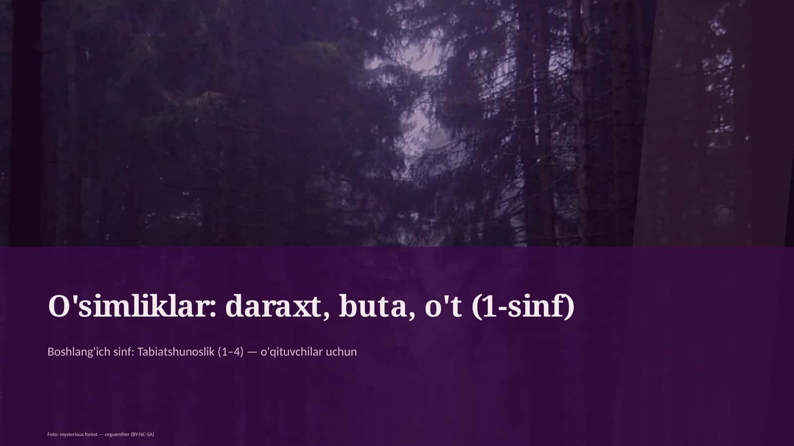 O'simliklar: daraxt, buta, o't (1-sinf) 1