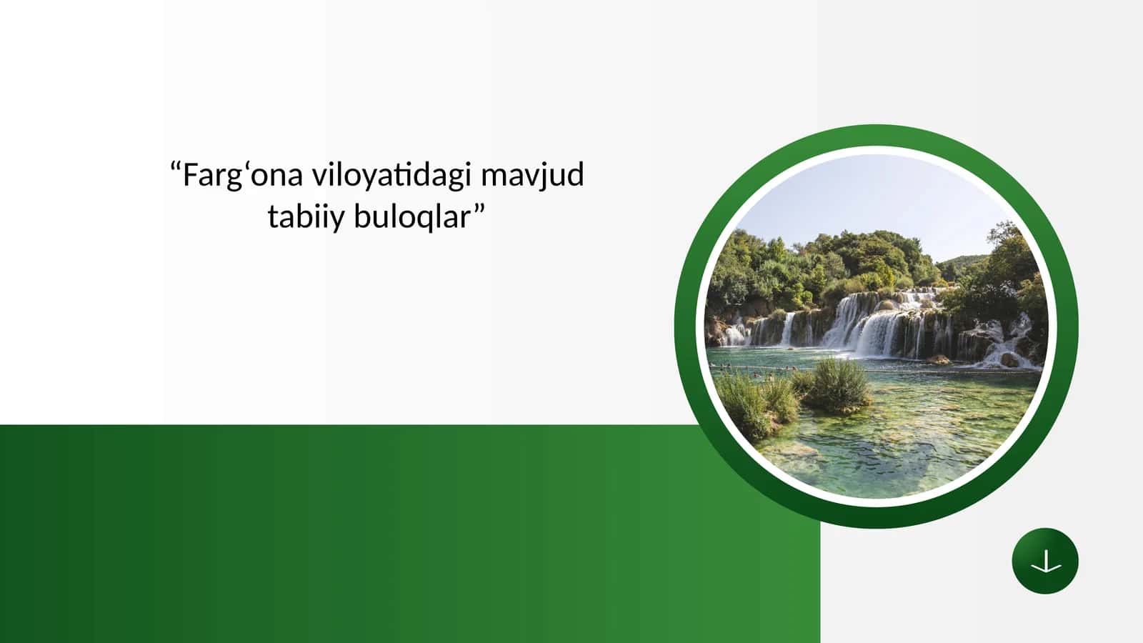 FARG‘ONA VILOYATIDAGI TABIIY BULOQLARNING SHAKLLANISH GEOGRAFIYASI VA TURLARI 1