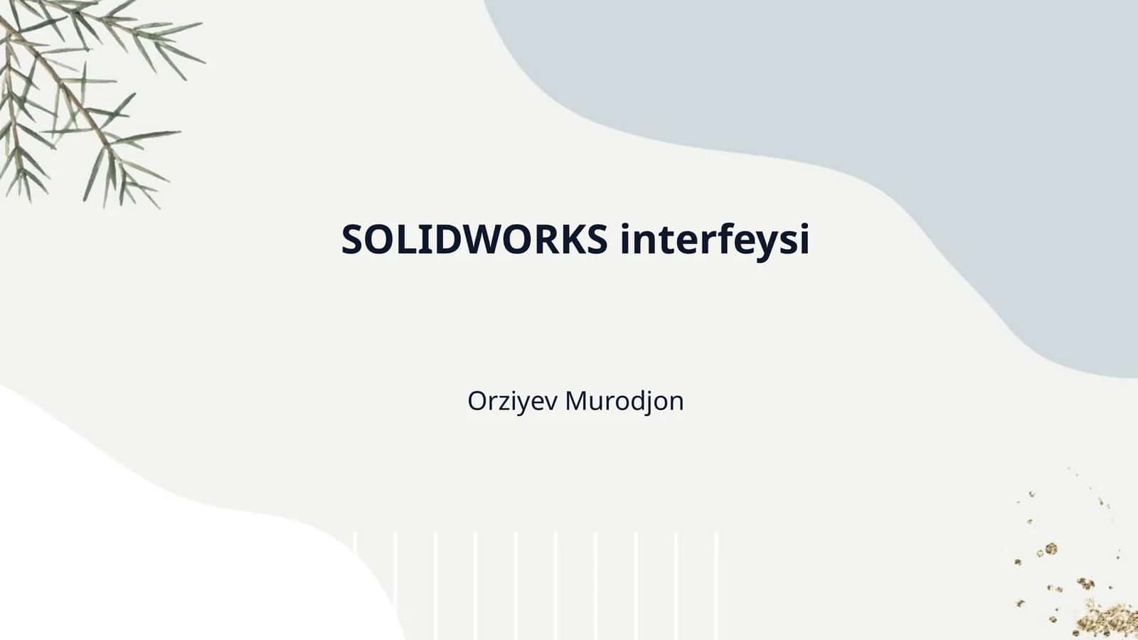 SOLIDWORKS interfeysi 1
