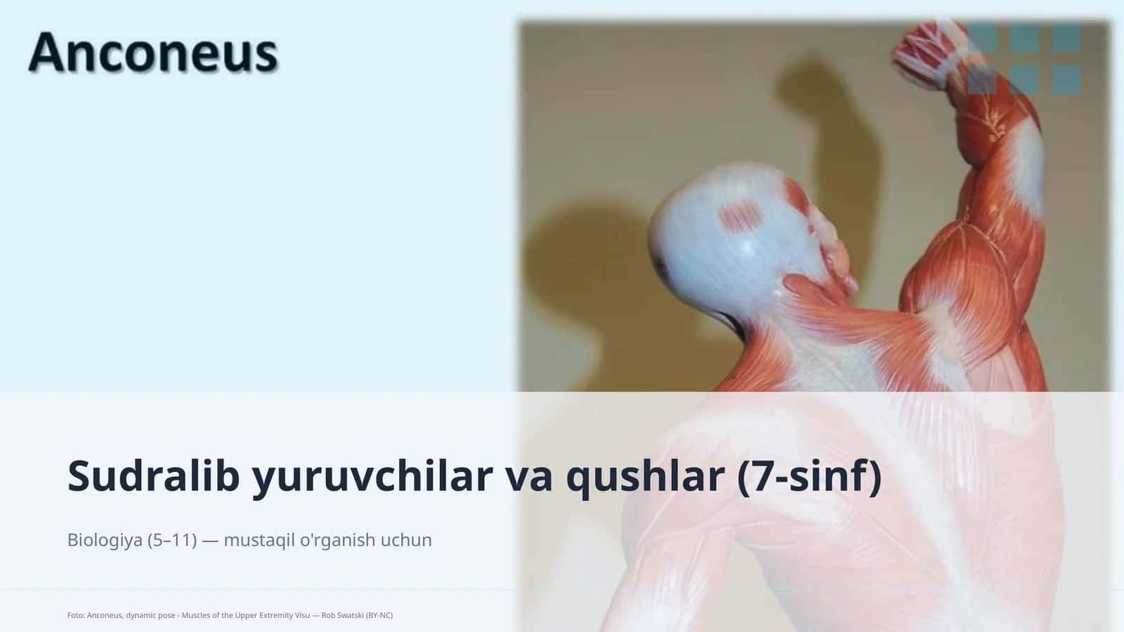 Sudralib yuruvchilar va qushlar (7-sinf) 1