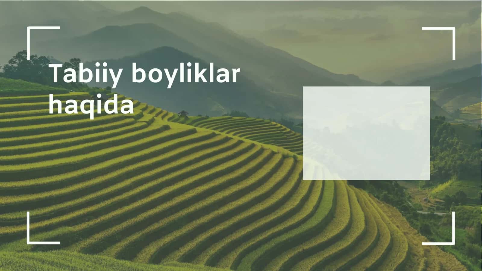 Tabiiy boyliklar 1