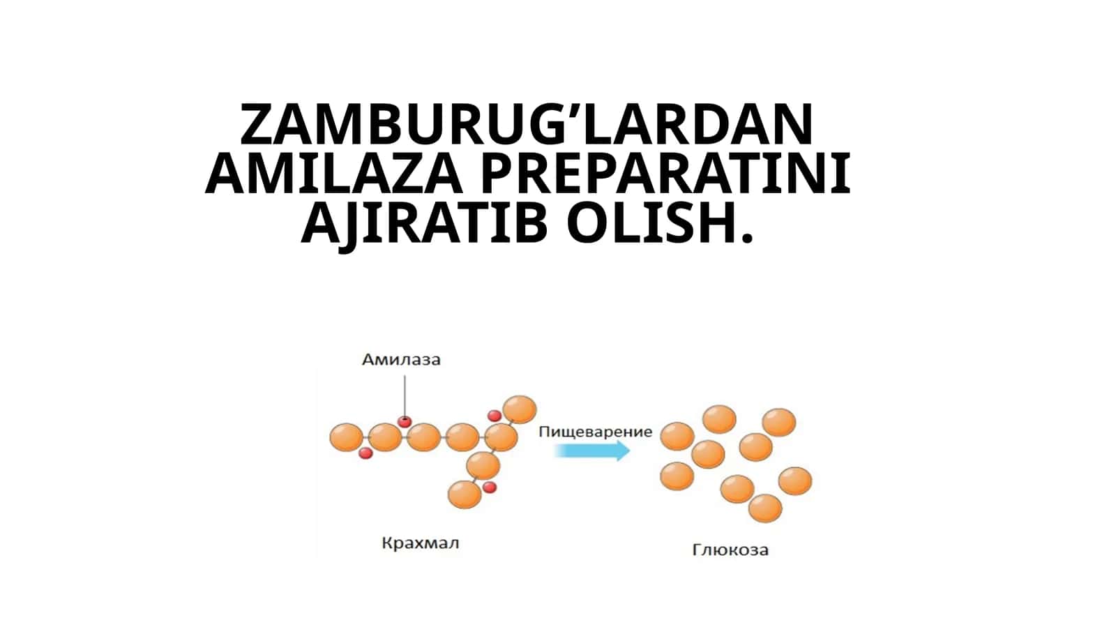 ZAMBURUG’LARDAN AMILAZA PREPARATINI AJIRATIB OLISH 1